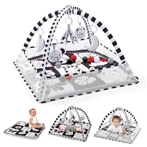 Baby Play gym Mat