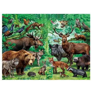 Double Sided 100 Piece Puzzle 2 in 1 Puzzle